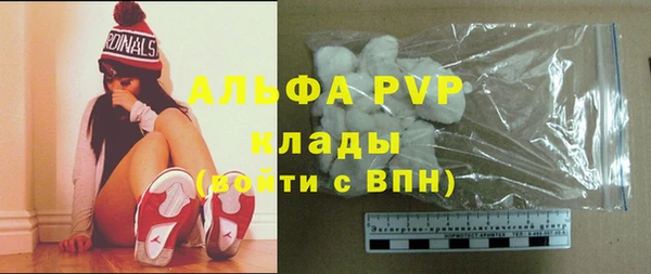 трава Аркадак