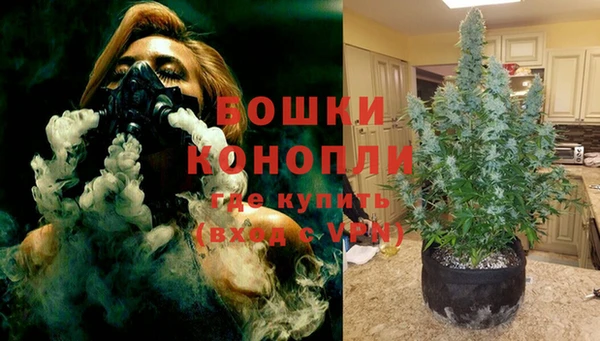 молекула духа Арсеньев