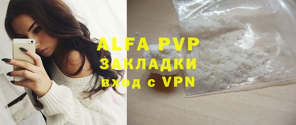молекула духа Арсеньев