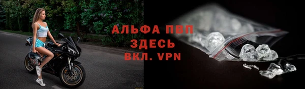 трава Аркадак