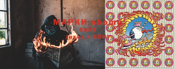 трава Аркадак