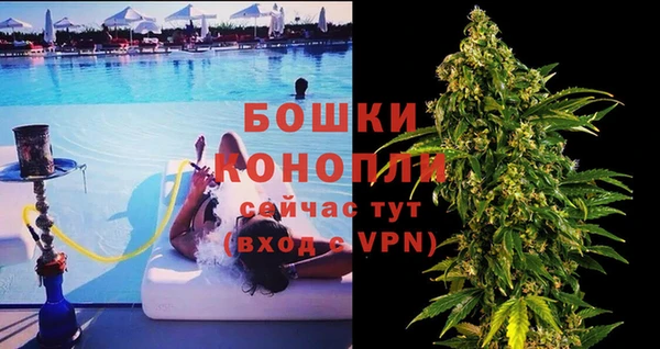 трава Аркадак
