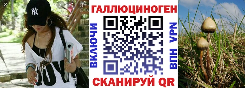 Псилоцибиновые грибы Psilocybine cubensis  даркнет сайт  Кашин 